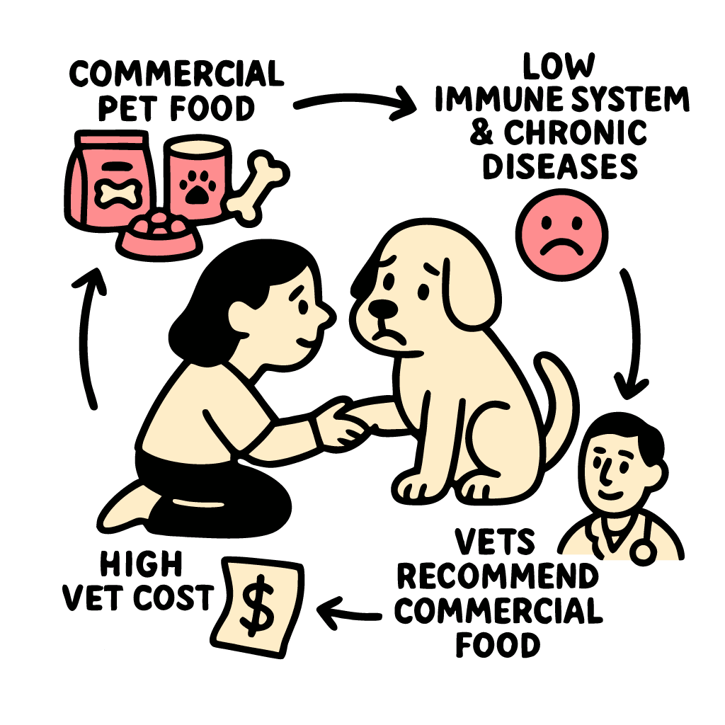 Graphic showing cost of veterinarians is high due to low quality food given to pet